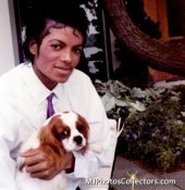 dogwithmj1984.jpg