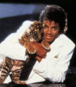 Mj-and-tiger